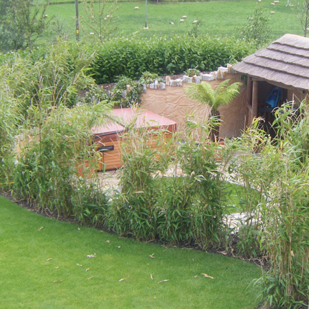 hedge3