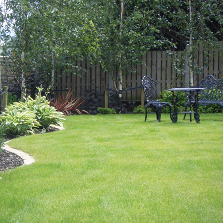 lawn1