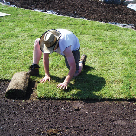 lawn4