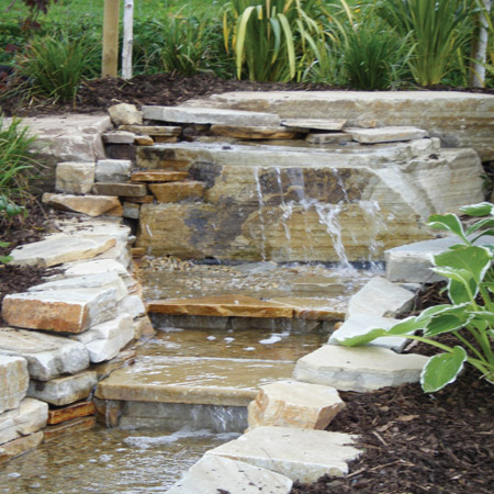pond1