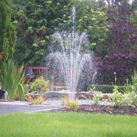 pond3